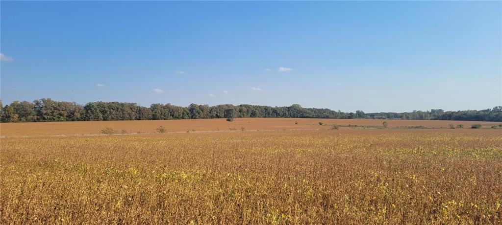 Listing Photo MLS #HMS2499070