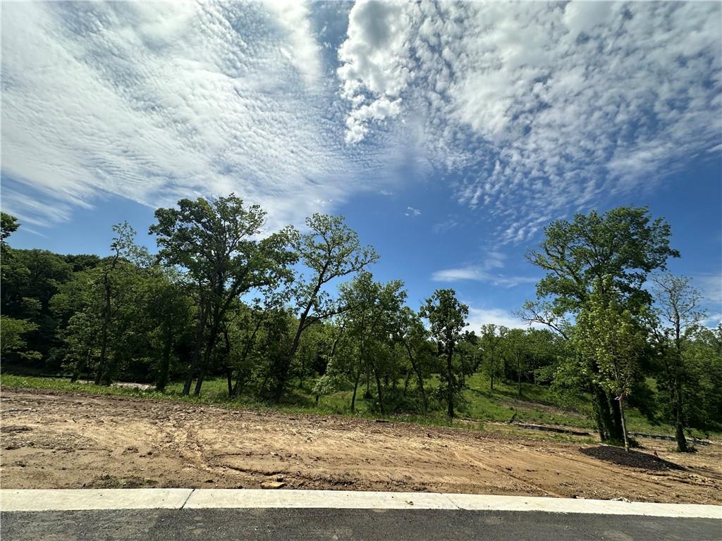 Listing Photo MLS #HMS2500065