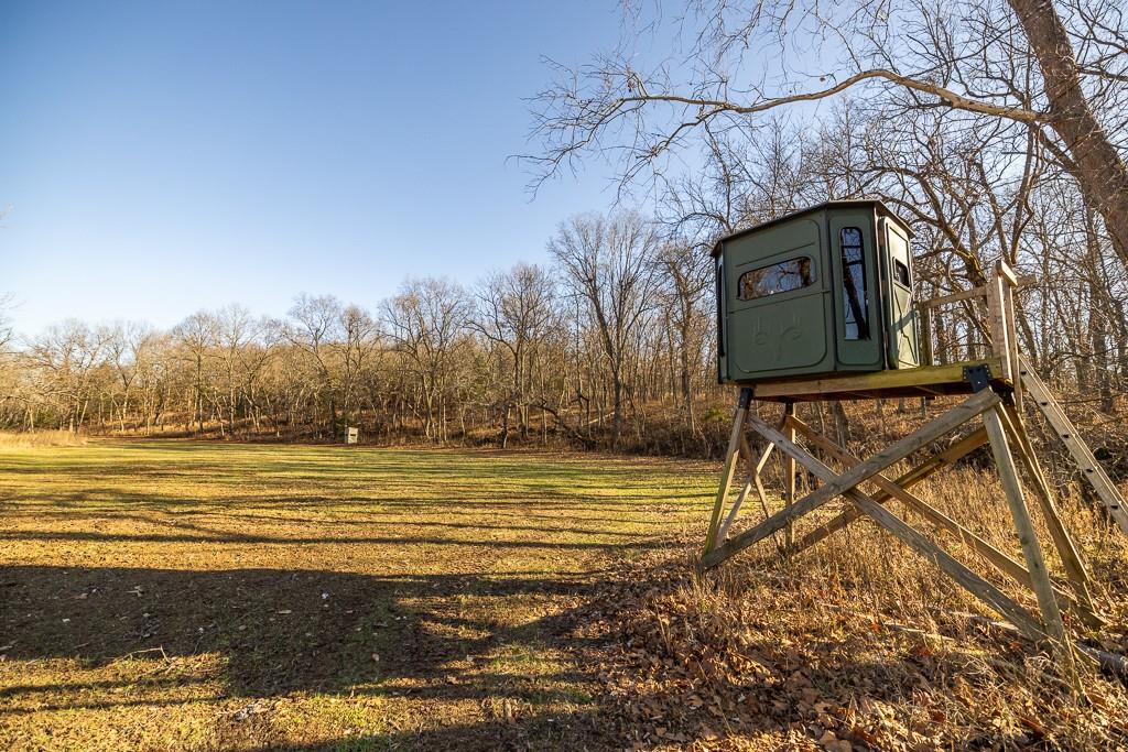 Listing Photo MLS #HMS2523841