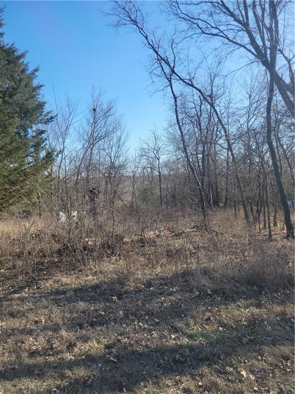 Listing Photo MLS #HMS2534980