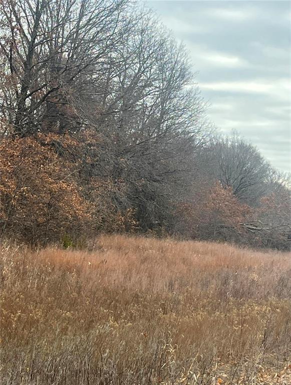 Listing Photo MLS #HMS2535901