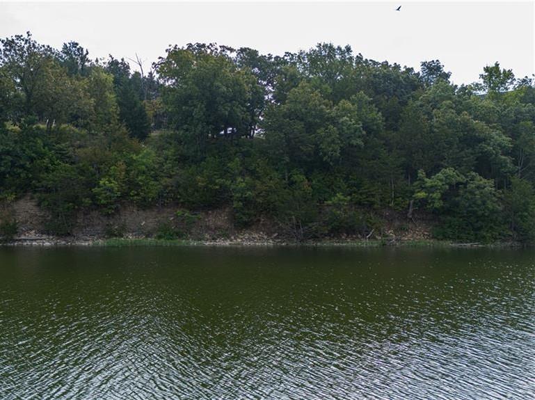 Listing Photo MLS #HMS2537040