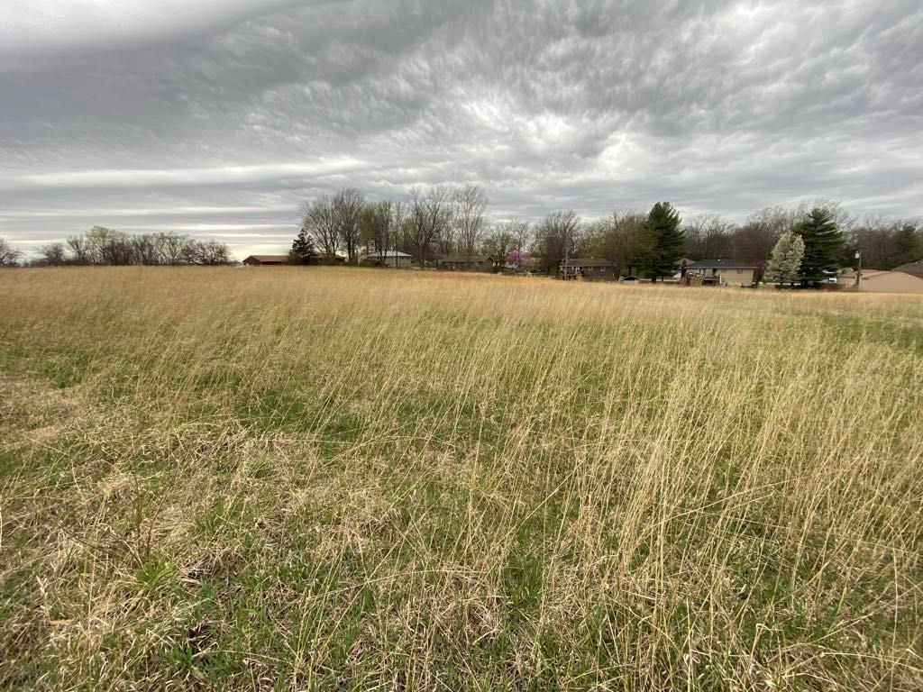 Listing Photo MLS #HMS2539534