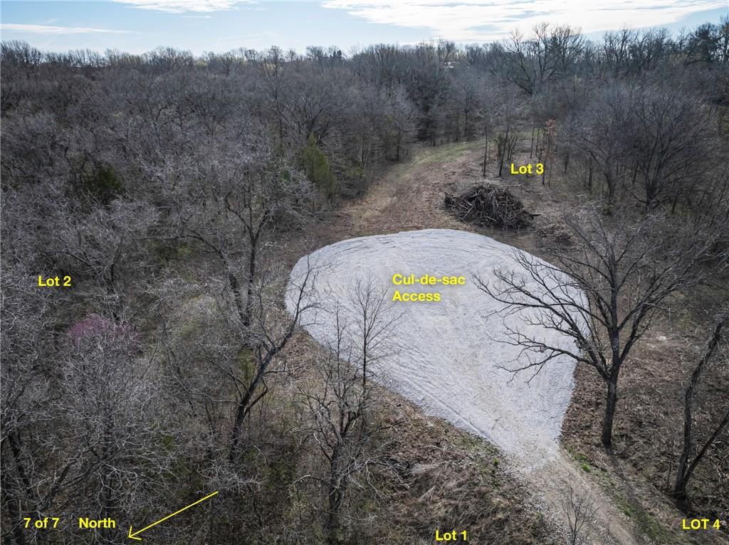 Listing Photo MLS #HMS2541101