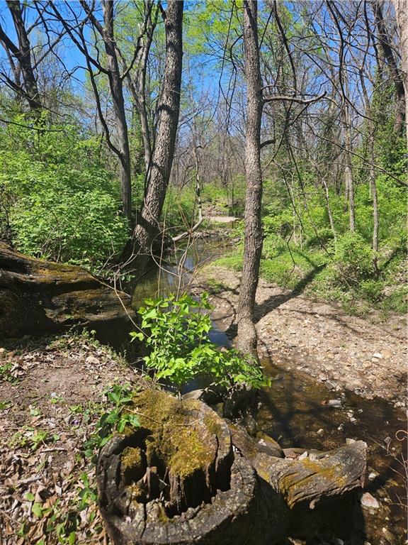 Listing Photo MLS #HMS2543763