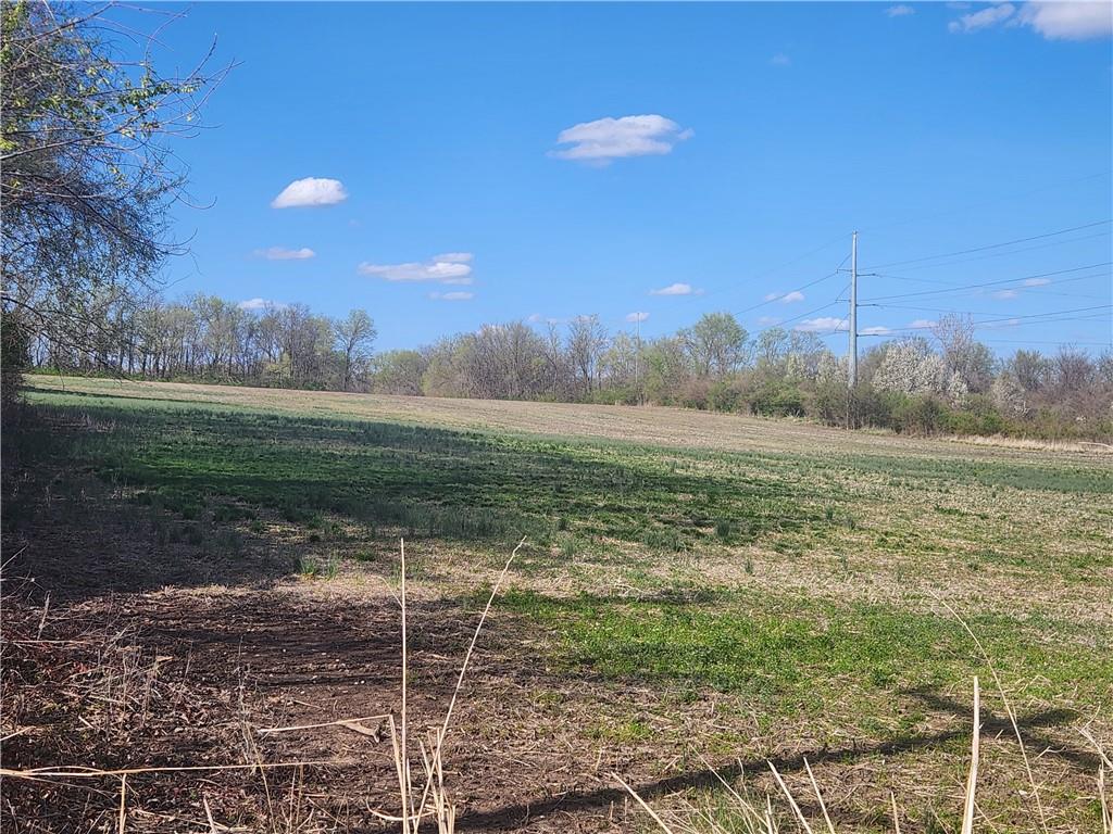 Listing Photo MLS #HMS2544203