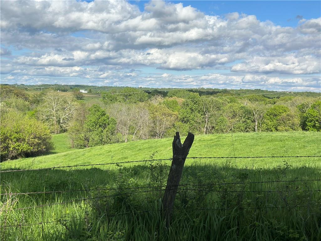 Listing Photo MLS #HMS2546951