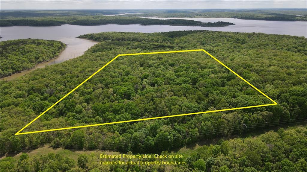 Listing Photo MLS #HMS2547683