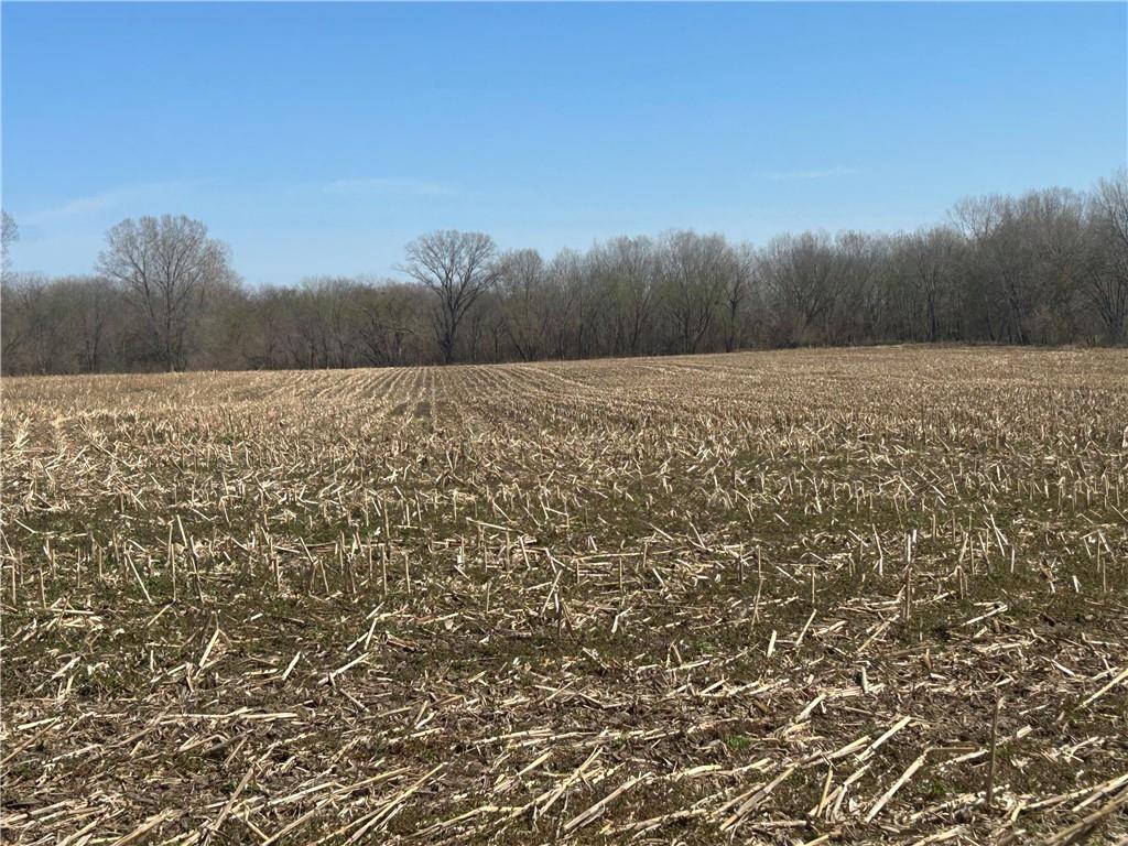 Listing Photo MLS #HMS2548072