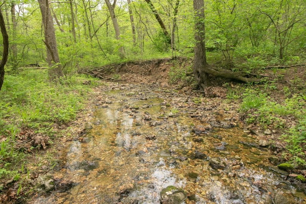 Listing Photo MLS #HMS2548310