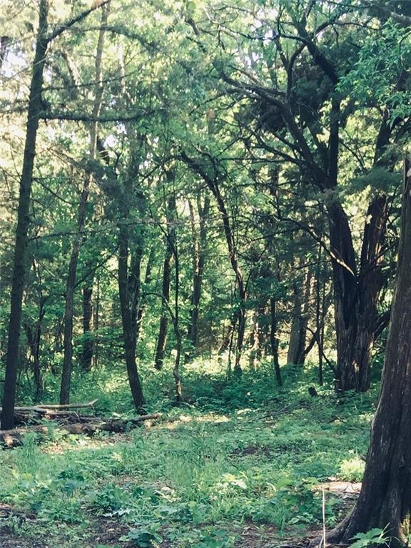 Listing Photo MLS #HMS2552127