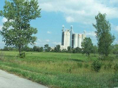 Listing Photo MLS #HMS2553389