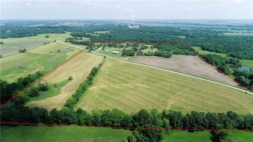 Listing Photo MLS #HMS2557455