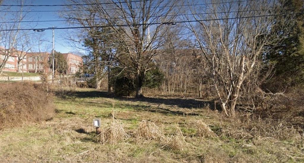 Listing Photo MLS #HMS2557576