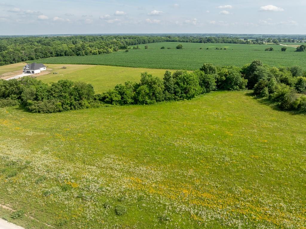 Listing Photo MLS #HMS2557666