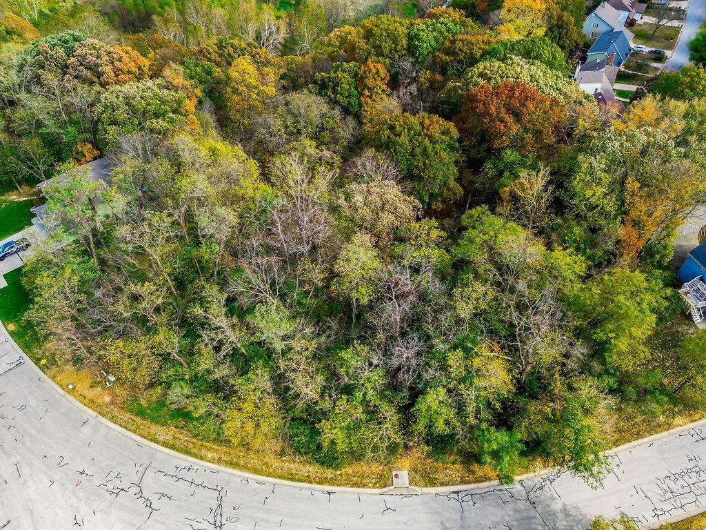 Listing Photo MLS #HMS2558109