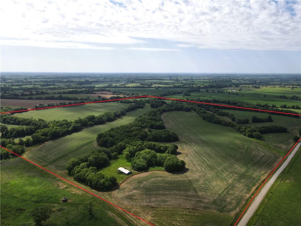 Listing Photo MLS #HMS2558871