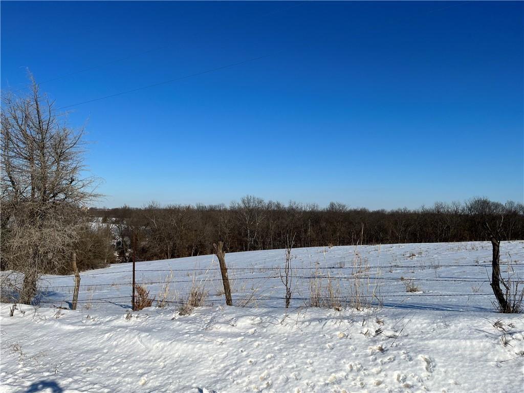 Listing Photo MLS #HMS2562675