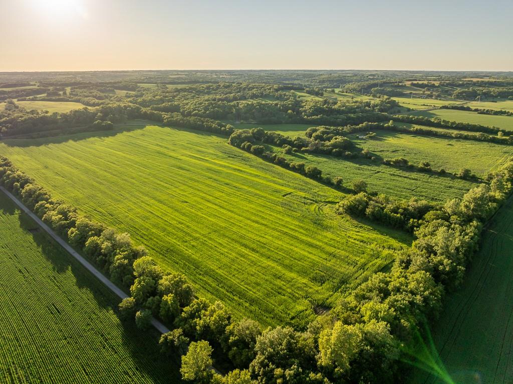 Listing Photo MLS #HMS2563140