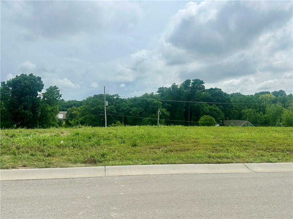 Listing Photo MLS #HMS2563748