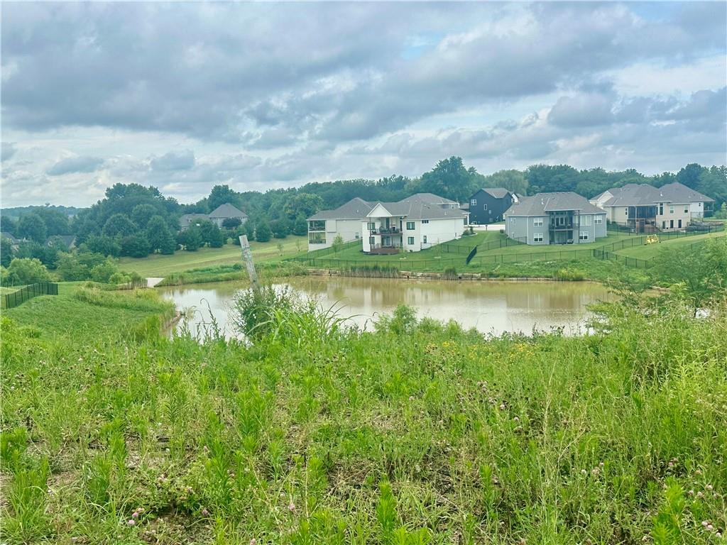 Listing Photo MLS #HMS2563886