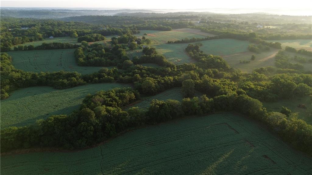 Listing Photo MLS #HMS2564754