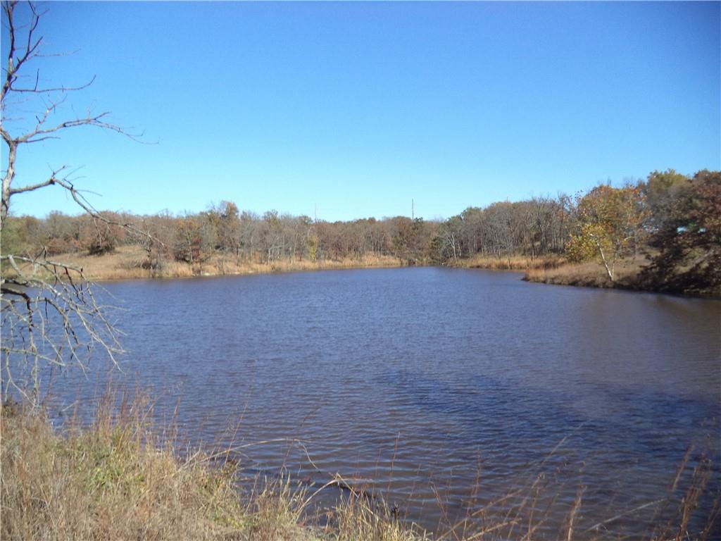 Listing Photo MLS #HMS2565974