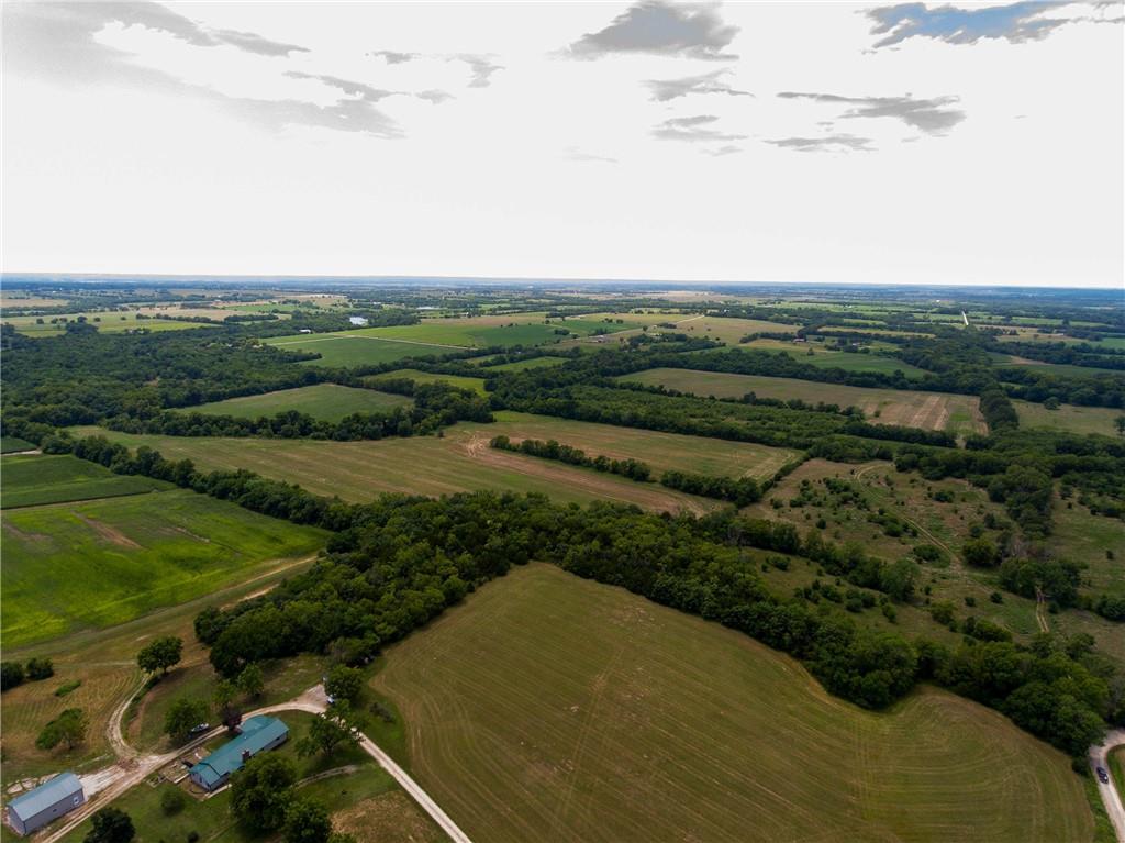 Listing Photo MLS #HMS2567416