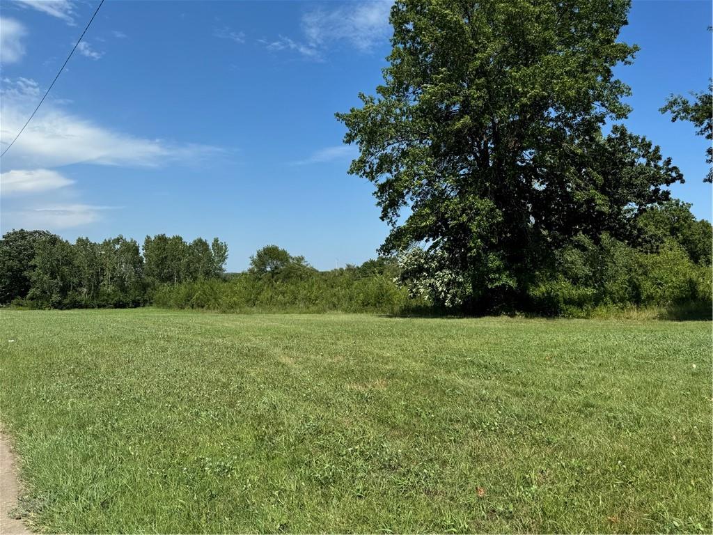 Listing Photo MLS #HMS2568248