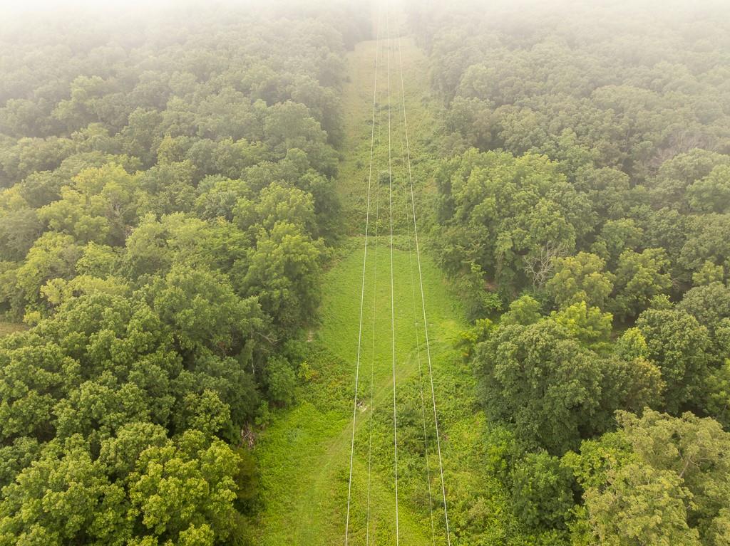 Listing Photo MLS #HMS2569485