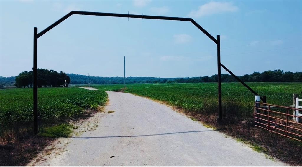 Listing Photo MLS #HMS2570423