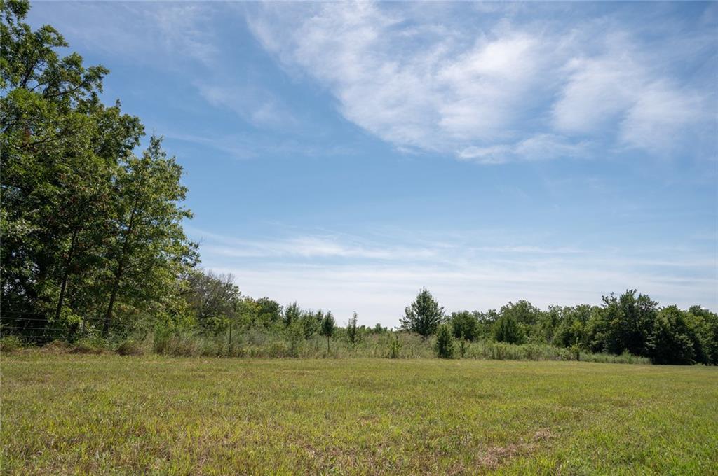 Listing Photo MLS #HMS2571232