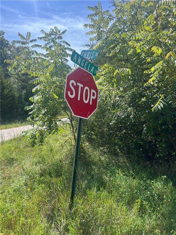 Listing Photo MLS #HMS2571385