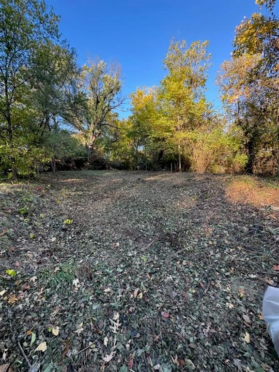 Listing Photo MLS #HMS2572169