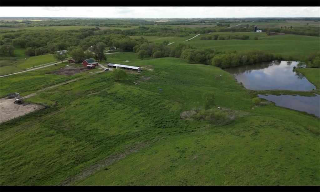 Listing Photo MLS #HMS2572467