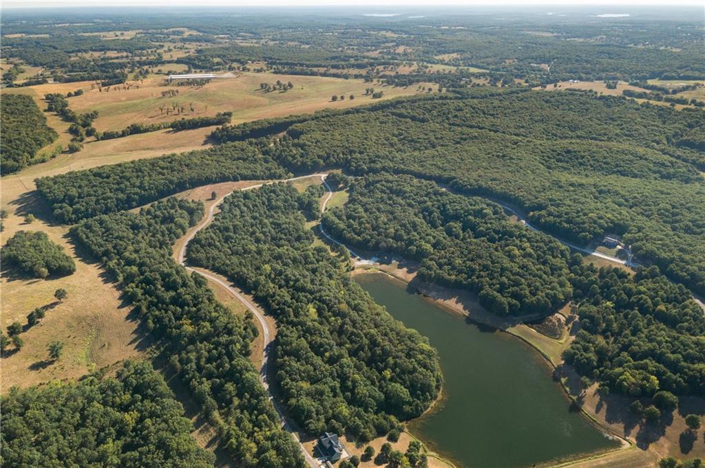 Listing Photo MLS #HMS2573768