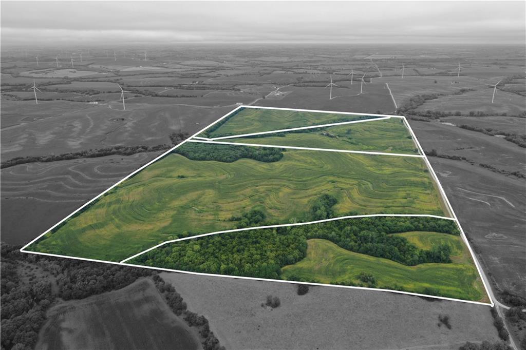 Listing Photo MLS #HMS2574019