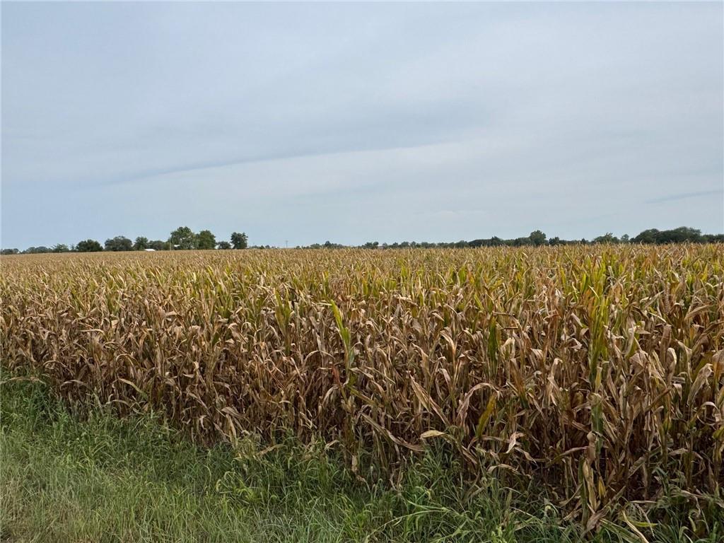 Listing Photo MLS #HMS2574176