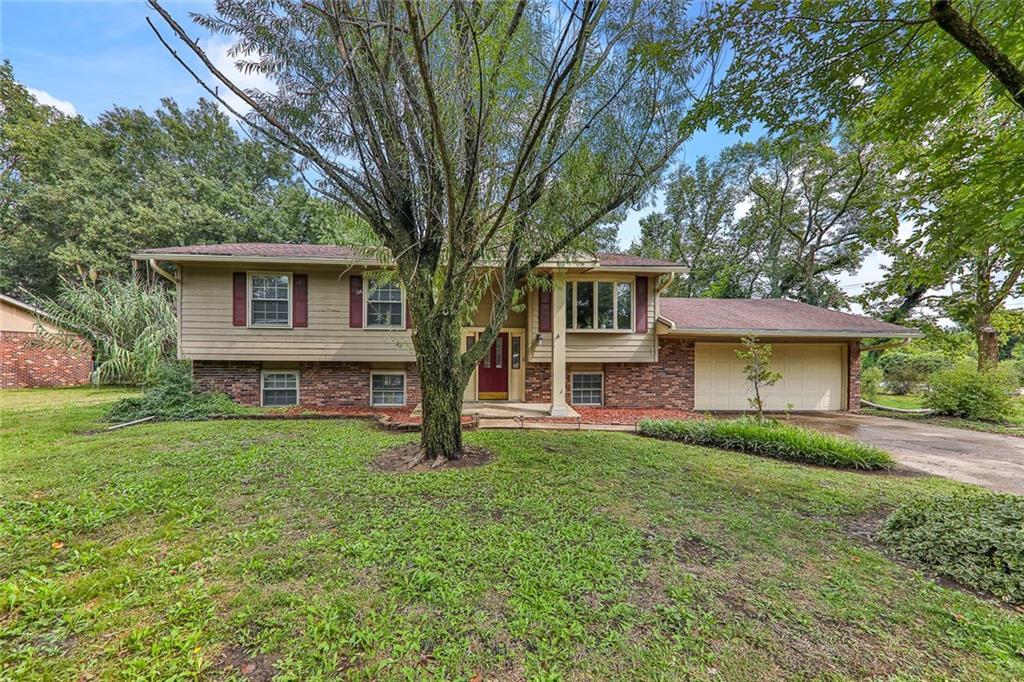 Listing Photo MLS #HMS2574443