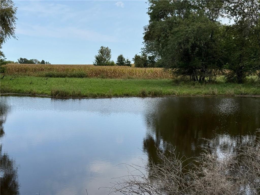 Listing Photo MLS #HMS2574454