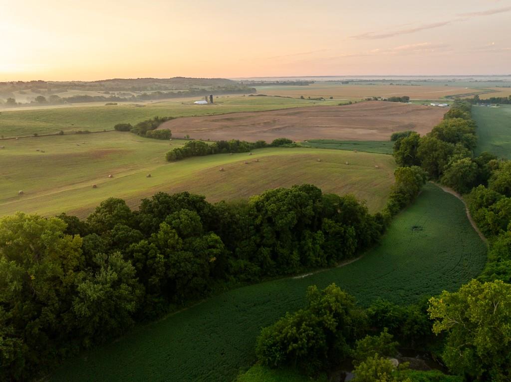 Listing Photo MLS #HMS2574873