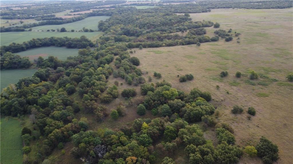 Listing Photo MLS #HMS2575258