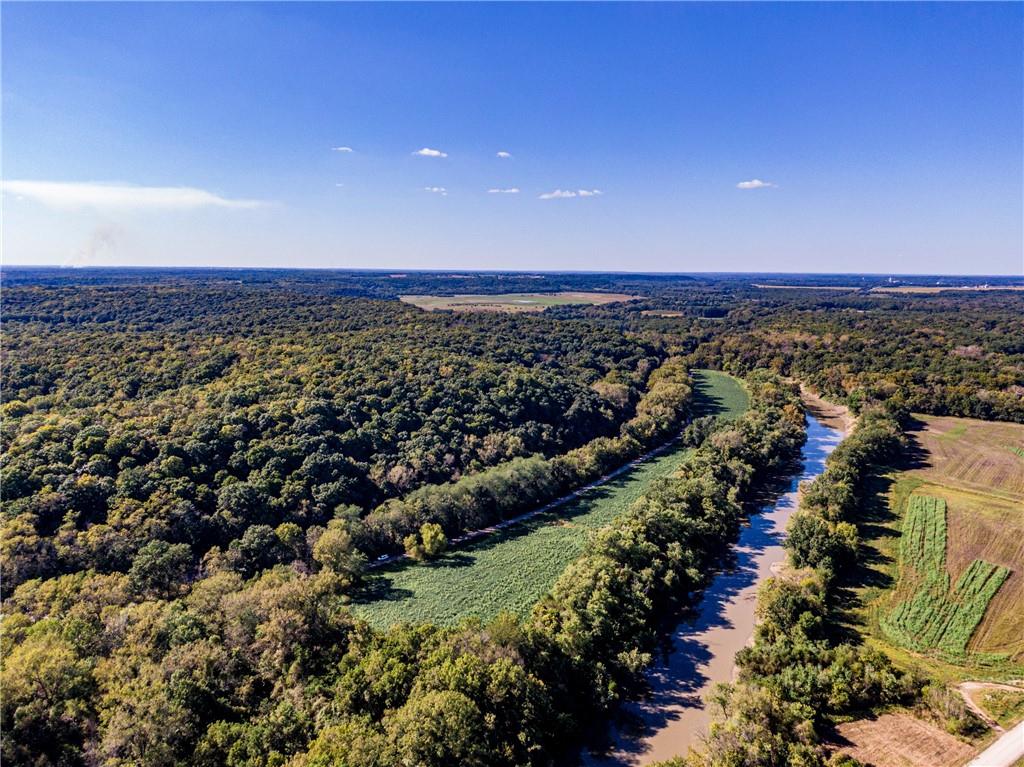 Listing Photo MLS #HMS2577560