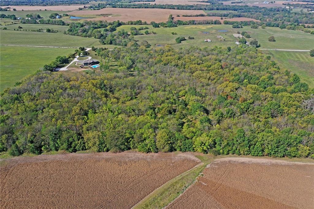 Listing Photo MLS #HMS2578201