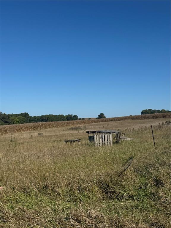 Listing Photo MLS #HMS2578569