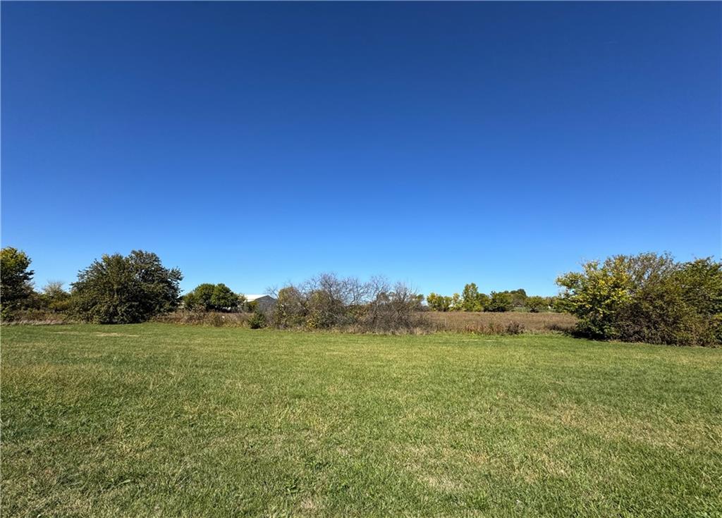 Listing Photo MLS #HMS2578787