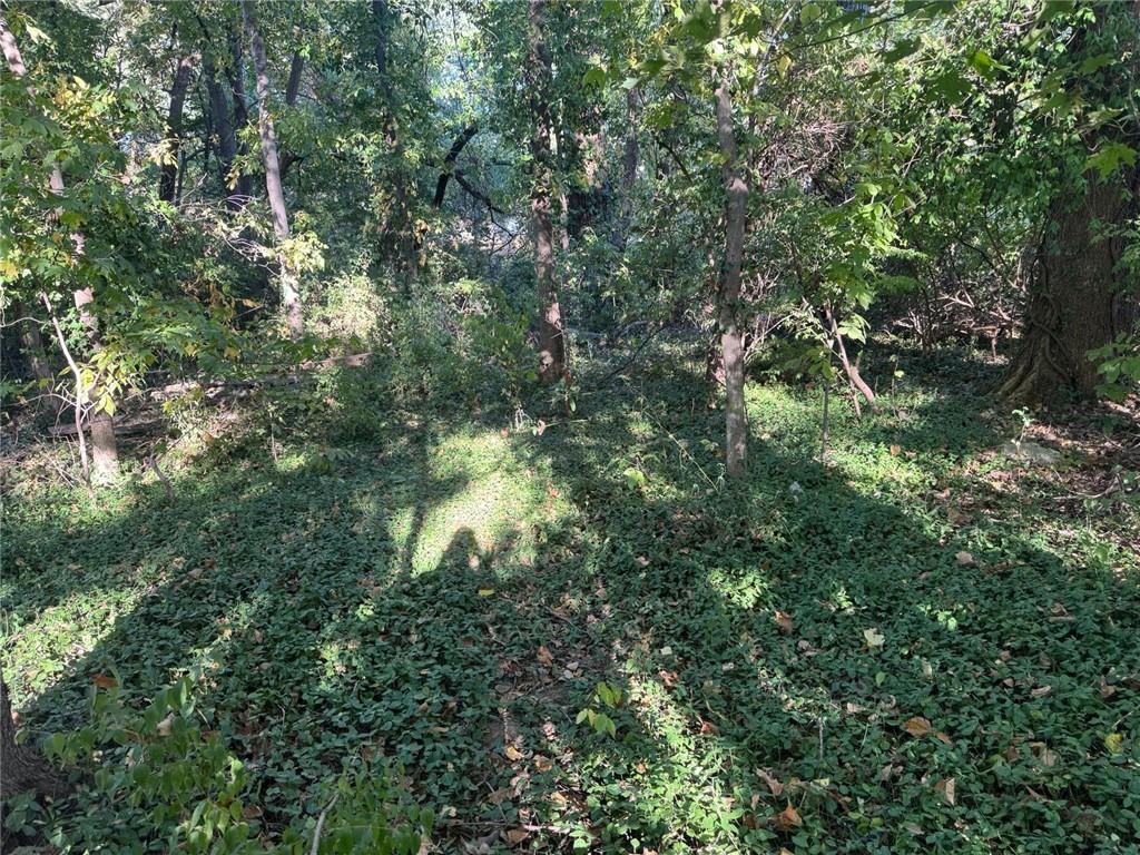 Listing Photo MLS #HMS2582366