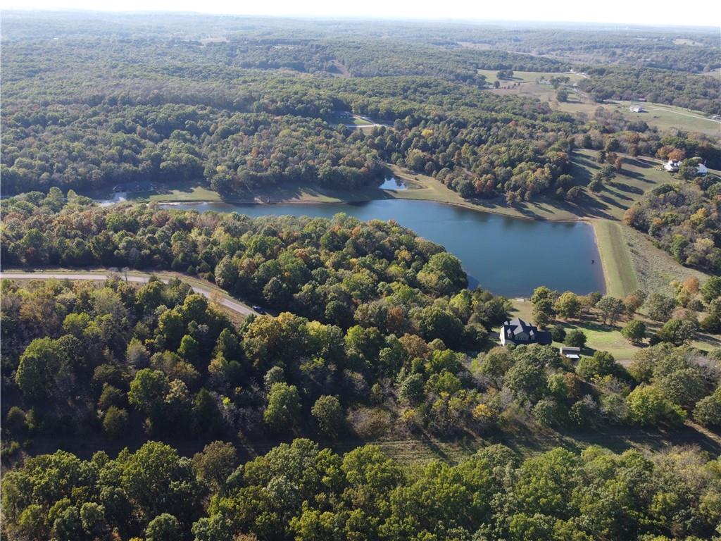 Listing Photo MLS #HMS2583447