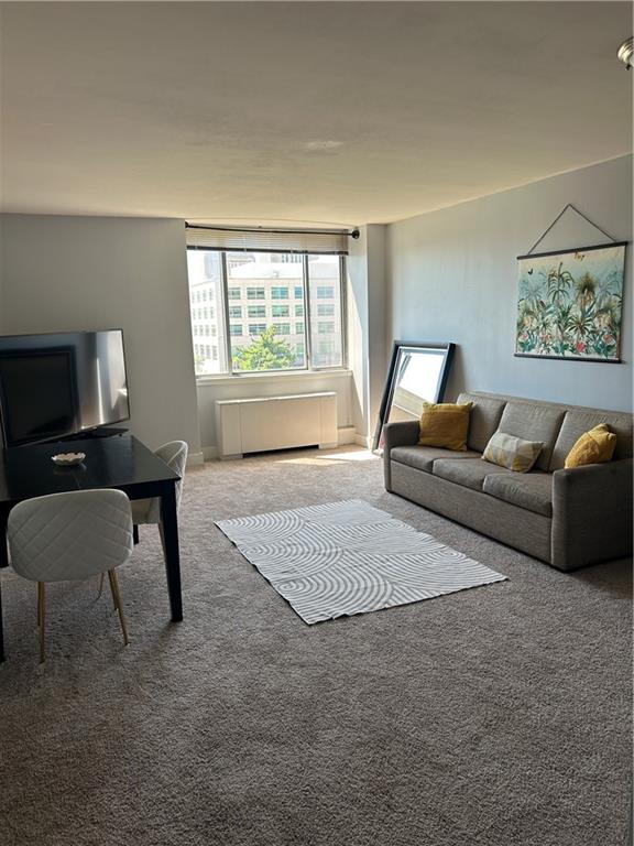 Listing Photo MLS #HMS2584881