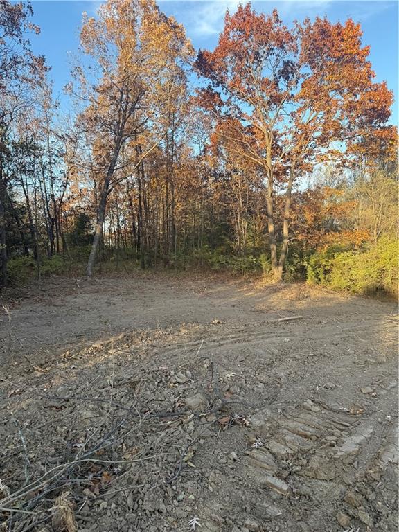 Listing Photo MLS #HMS2587509